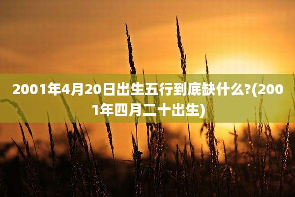 2001年4月20日出生五行到底缺什么?(2001年四月二十出生)