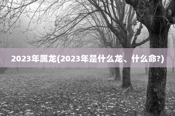 2023年属龙(2023年是什么龙、什么命?)
