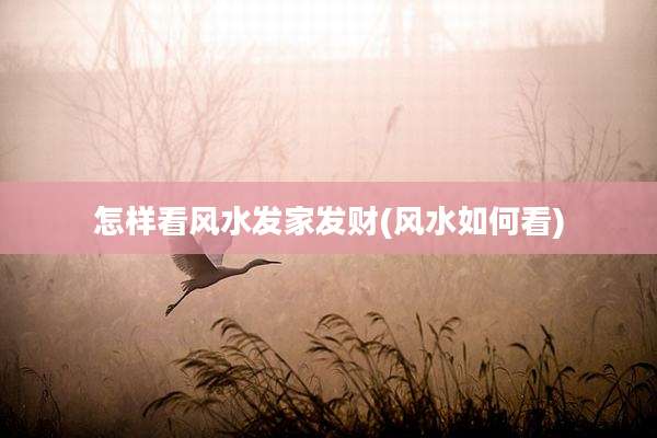 怎样看风水发家发财(风水如何看)