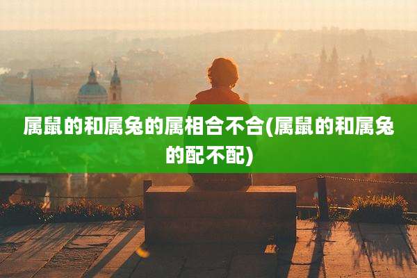 属鼠的和属兔的属相合不合(属鼠的和属兔的配不配)