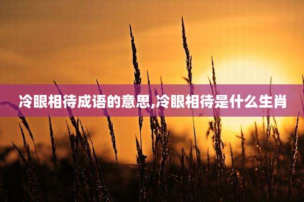冷眼相待成语的意思,冷眼相待是什么生肖