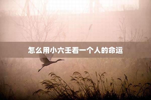 怎么用小六壬看一个人的命运