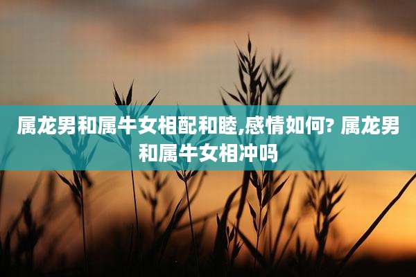 属龙男和属牛女相配和睦,感情如何? 属龙男和属牛女相冲吗