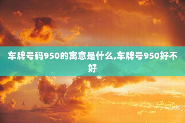 车牌号码950的寓意是什么,车牌号950好不好