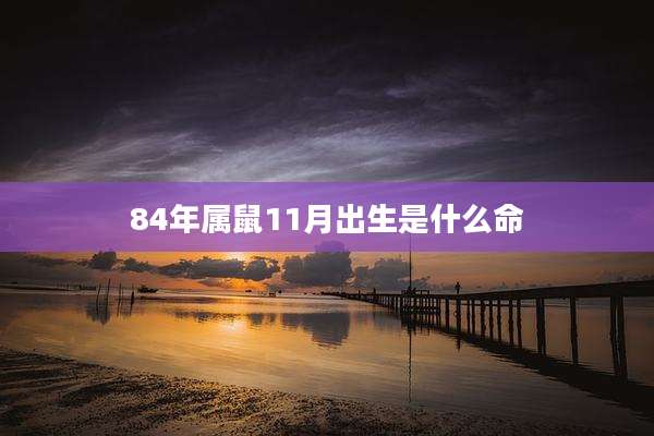 84年属鼠11月出生是什么命