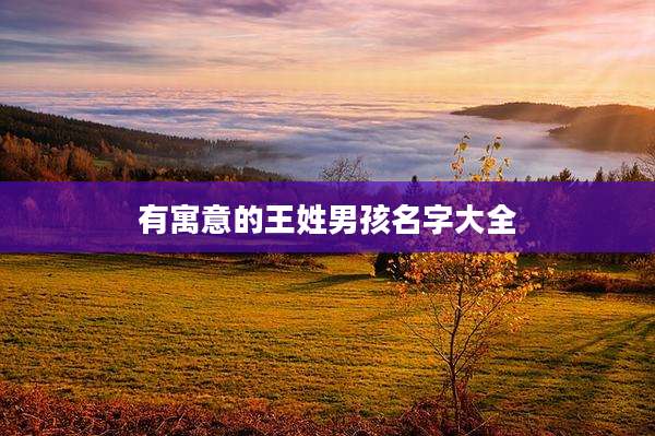 有寓意的王姓男孩名字大全