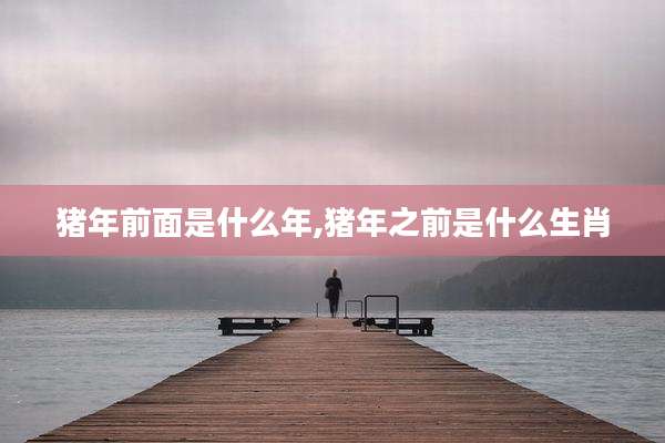 猪年前面是什么年,猪年之前是什么生肖