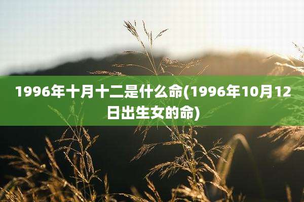 1996年十月十二是什么命(1996年10月12日出生女的命)
