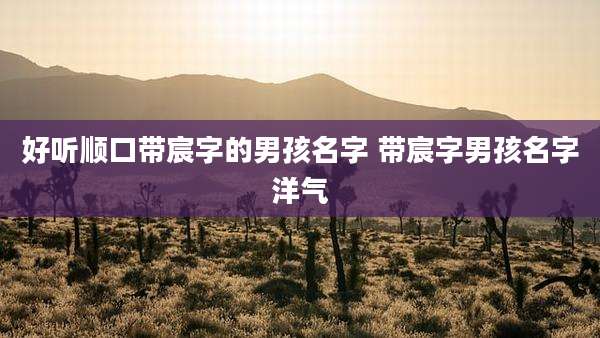 好听顺口带宸字的男孩名字 带宸字男孩名字洋气