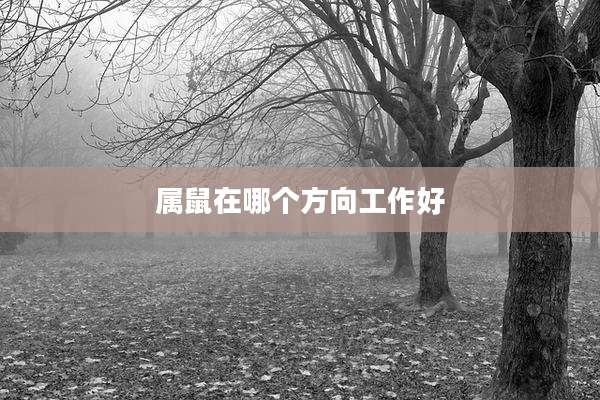 属鼠在哪个方向工作好