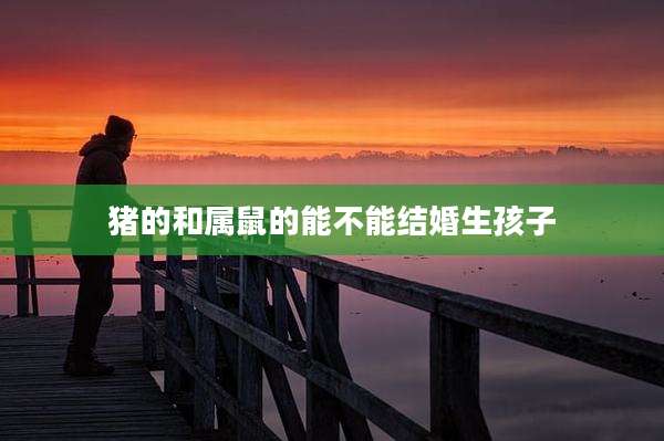 猪的和属鼠的能不能结婚生孩子