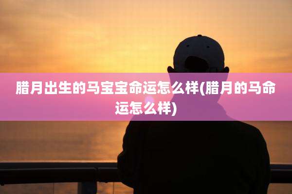 腊月出生的马宝宝命运怎么样(腊月的马命运怎么样)
