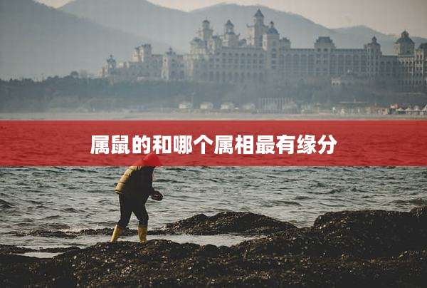 属鼠的和哪个属相最有缘分