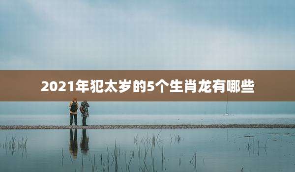 2021年犯太岁的5个生肖龙有哪些