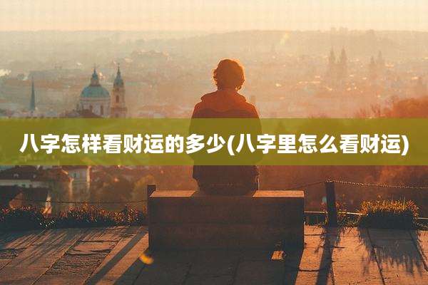 八字怎样看财运的多少(八字里怎么看财运)