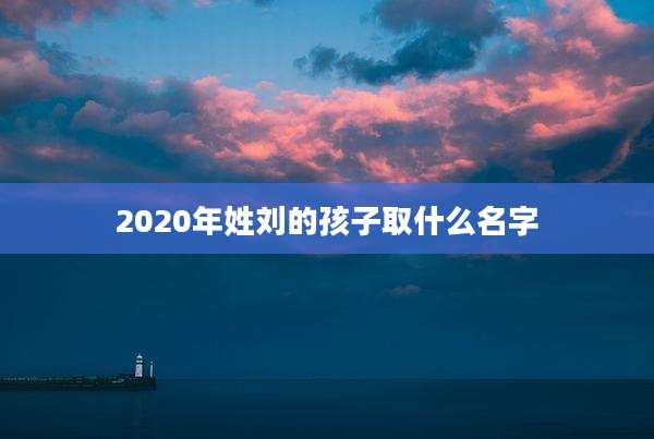 2020年姓刘的孩子取什么名字