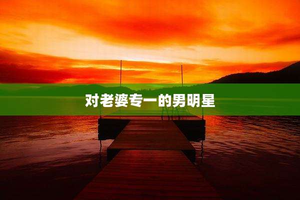 对老婆专一的男明星