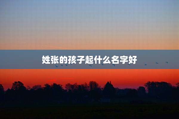 姓张的孩子起什么名字好