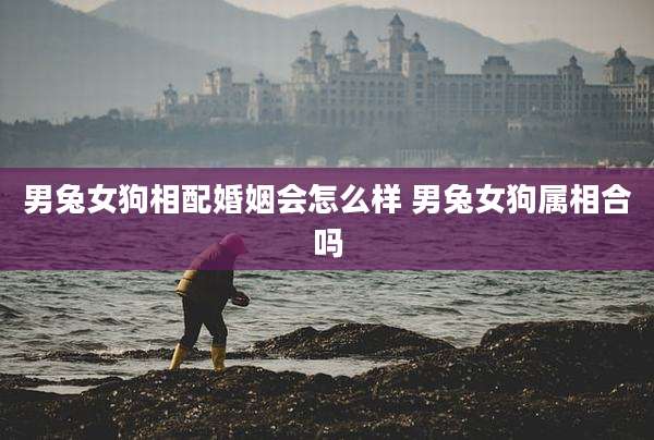 男兔女狗相配婚姻会怎么样 男兔女狗属相合吗