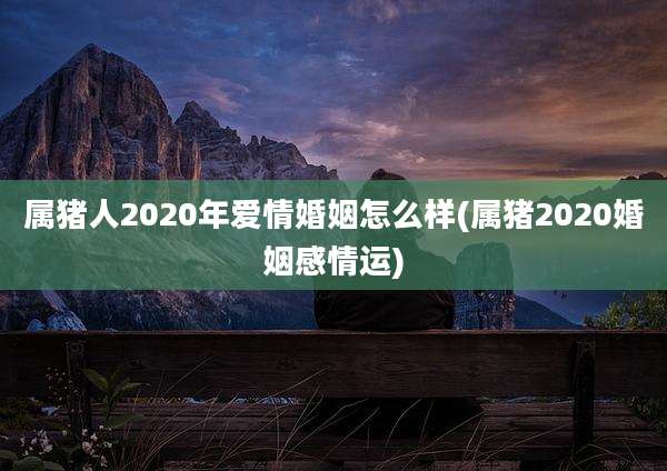 属猪人2020年爱情婚姻怎么样(属猪2020婚姻感情运)