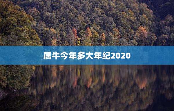 属牛今年多大年纪2020