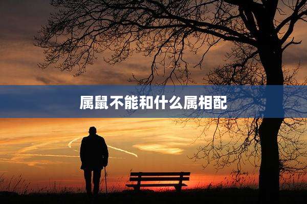 属鼠不能和什么属相配