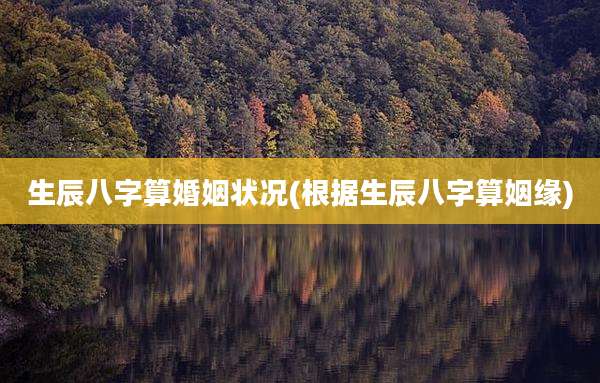 生辰八字算婚姻状况(根据生辰八字算姻缘)
