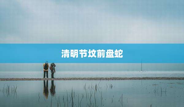 清明节坟前盘蛇