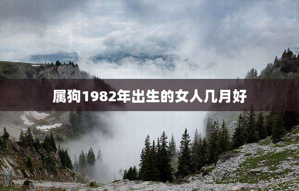 属狗1982年出生的女人几月好