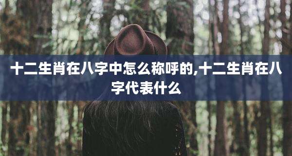 十二生肖在八字中怎么称呼的,十二生肖在八字代表什么