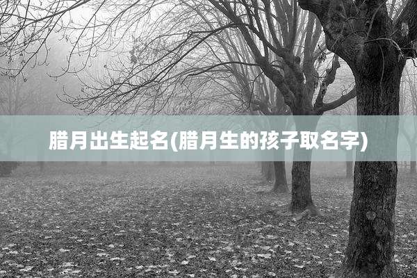 腊月出生起名(腊月生的孩子取名字)