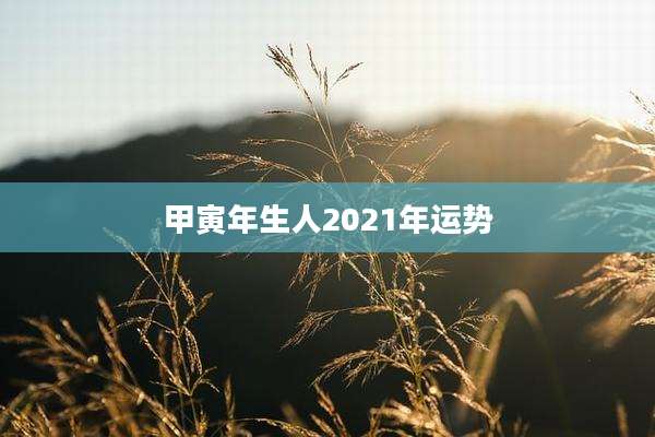甲寅年生人2021年运势