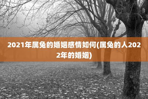 2021年属兔的婚姻感情如何(属兔的人2022年的婚姻)