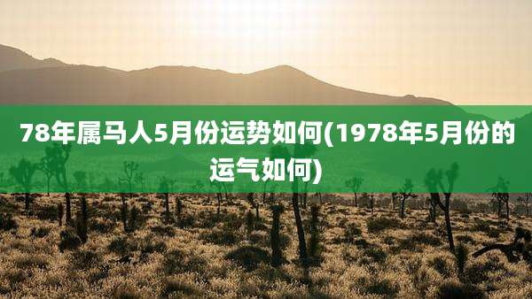 78年属马人5月份运势如何(1978年5月份的运气如何)