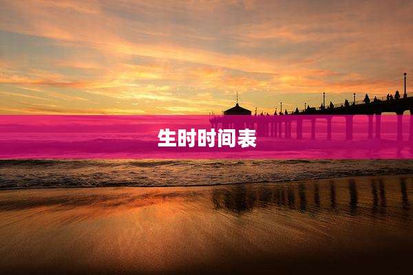 生时时间表