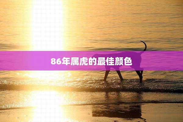 86年属虎的最佳颜色