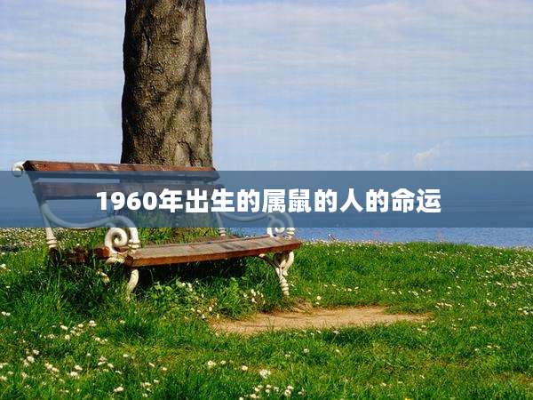 1960年出生的属鼠的人的命运