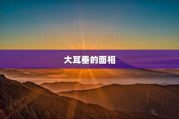 大耳垂的面相