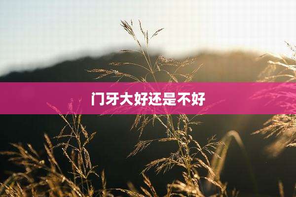 门牙大好还是不好