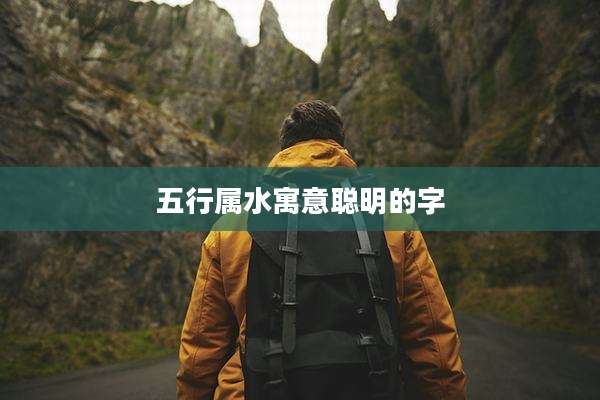 五行属水寓意聪明的字