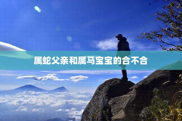 属蛇父亲和属马宝宝的合不合