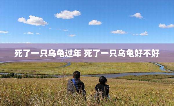 死了一只乌龟过年 死了一只乌龟好不好