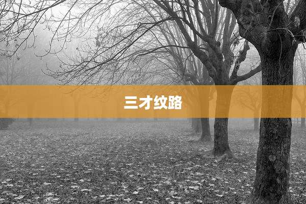 三才纹路