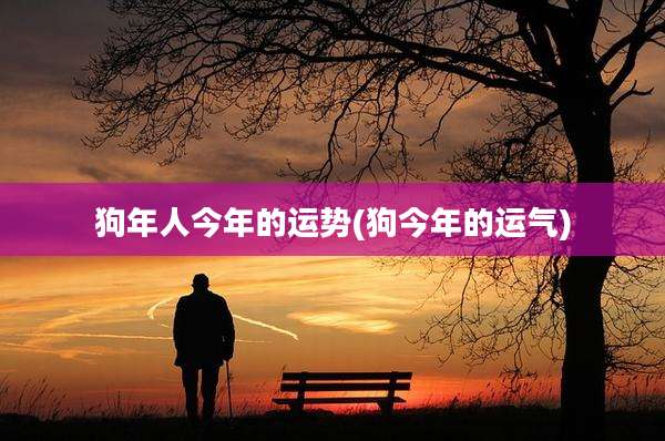 狗年人今年的运势(狗今年的运气)
