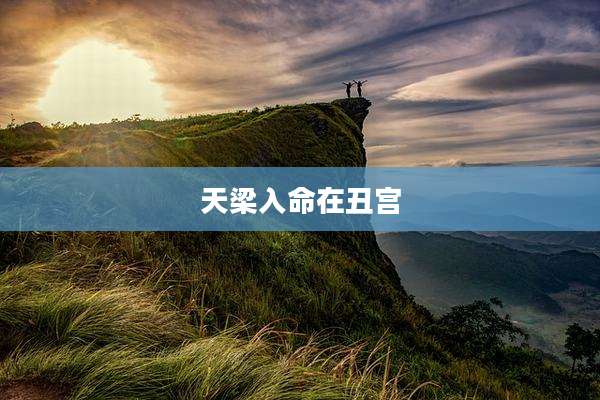 天梁入命在丑宫