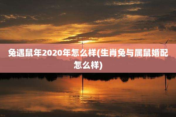兔遇鼠年2020年怎么样(生肖兔与属鼠婚配怎么样)