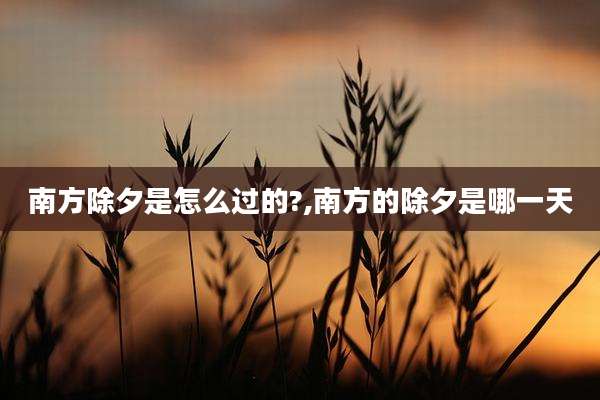 南方除夕是怎么过的?,南方的除夕是哪一天