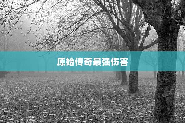 原始传奇最强伤害