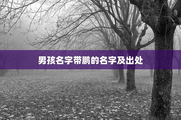 男孩名字带鹏的名字及出处