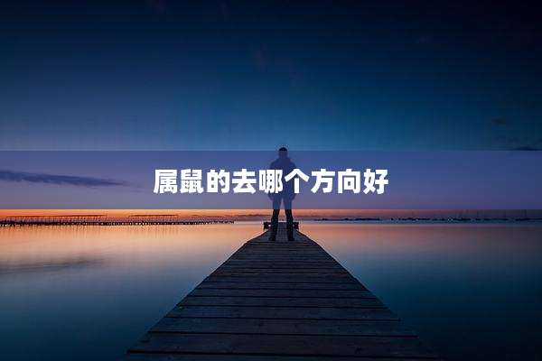 属鼠的去哪个方向好